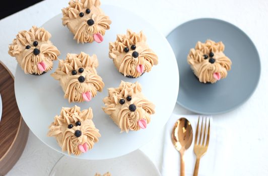 Puppy Cake Mix - Carob Flavored